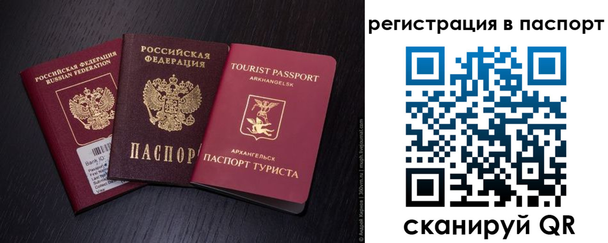 прописка в квартире в Тихорецке